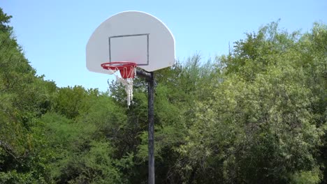 Panorámica-de-aro-de-baloncesto-con-límite-arbóreo-superior-en-fondo