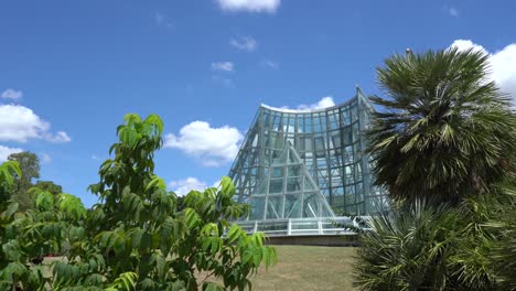 Panning-Video-of-Greenhouse-Glass-Structure-Behind-Palm-Tree