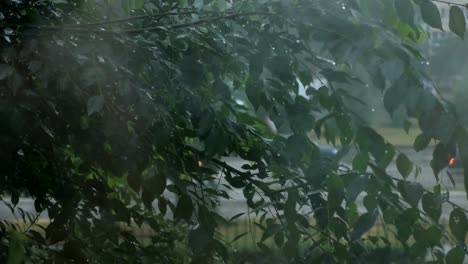 Rain-drops-on-the-window-on-the-dark-trees-background.