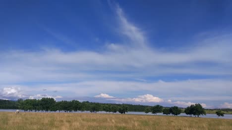 Caballo-blanco-en-el-lago