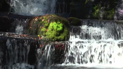 Cascadas-en-Nueva-Zelanda.