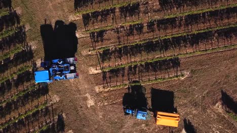 Máquina-cosecha-uva,-vista-aérea-del-país-del-vino-cosecha-de-la-uva-con-la-máquina-segador,-zángano-de-la-vista-del-paisaje-de-viñedos-de-Bordeaux,-Francia