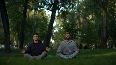 Dos-amigos-meditando-en-el-parque-central,-lotus-plantean,-asanas-de-yoga,-la-búsqueda-de-la-armonía