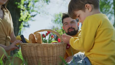 Boy-on-a-picnic-with-his-parents