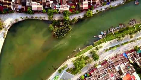 large-plants-grow-in-river-water-boats-moored-at-waterfront