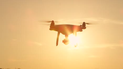 Abejón-de-película-lenta-cerca-a-lente-llamarada-silueta-volando-sobre-puesta-del-sol