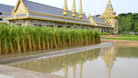 der-Chaipattana-Wasser-Turbine-ist-eine-Erfindung-von-König-Bhumibol