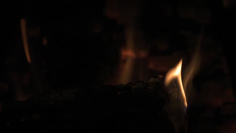 leña-en-la-chimenea-macro-closeup