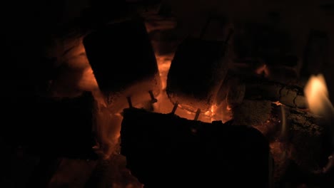 wood-burning-in-the-fireplace-macro-closeup