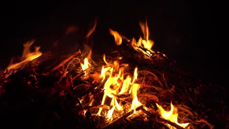 burning-fire-in-nature.-bright-flames