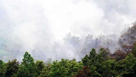 incendios-forestales-en-la-montaña,-Tailandia-(tiro-de-pan)