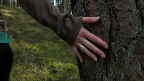 Mano-femenina-en-árbol-tronco-siga-tiro-lenta