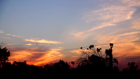 El-movimiento-del-tren-en-una-puesta-de-sol.