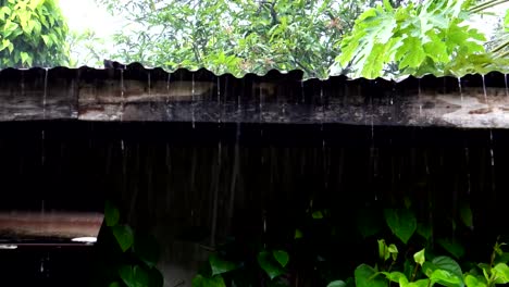 Rain-put-an-old-roof,-the-beauty-of-nature