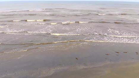 onda-de-las-ondas-llegan-a-la-orilla-lenta.-La-gaviota-vuela-sobre-las-olas