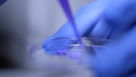 Close-up-of-hands-of-scientist-in-gloves-holding-pipette-and-pouring-solutions-into-test-tube.-GMO.-DNA.-Medical-worker-.-Student-used-laboratory-vessels-in-experiments.-Work-in-the-laboratory