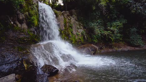 Wasserfall-im-Wald,-Waiau-Falls.-Farbe-benotet.