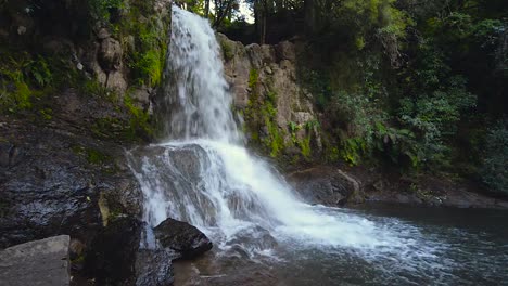 Waterfall-in-the-forest.-Waiau-Falls