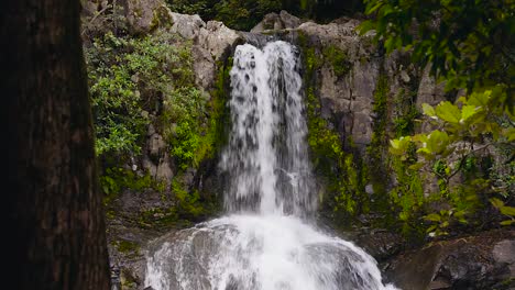 Wasserfall-im-Wald.-Waiau-Falls