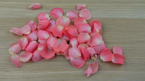 material-de-archivo-hd-rosa-pétalos-de-rosa-de-mesa-de-madera