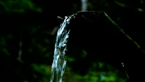 Waldbach-fließt-durch-den-Baum,-eine-Quelle-von-frischem-Trinkwasser,-Slow-motion