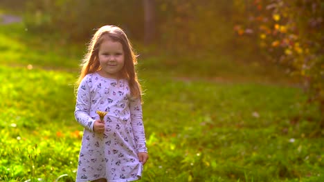 little-girl-with-a-flower-at-sunset