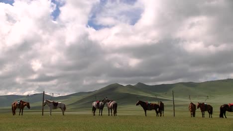 Landschaft-der-Mongolei