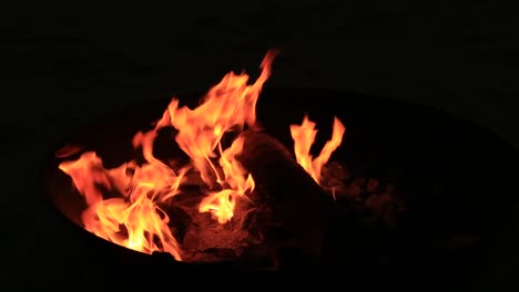 Lagerfeuer-brennen-Bäume-in-der-Nacht.-Feuer-brennt-hell,-Wärme,-Licht,-camping,-Lagerfeuer