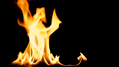 Slow-movement-of-clean-fire,-igniting-and-burning.-On-a-black-background,-a-line-of-real-flames-is-lit.-Real-shots.