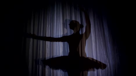 on-the-stage-of-the-old-theater-hall-there-is-a-ballerina-dancing-shadow-in-ballet-tutu,-in-rays-of-spotlight,.-she-is-dancing-elegantly-certain-ballet-motion,-Swan-Lake