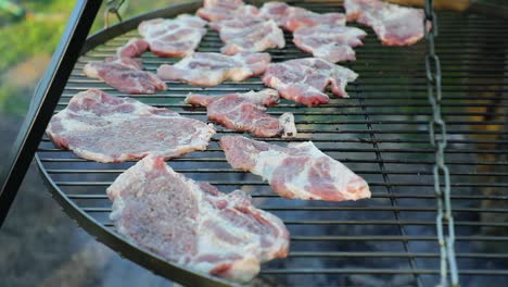 Rohes-Fleisch-gegrillt