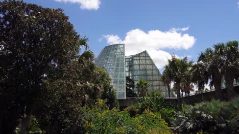 Video-panorámica-ángulo-bajo-invernadero-de-cristal-de-forma-de-cono-detrás-de-árboles-de-cerca