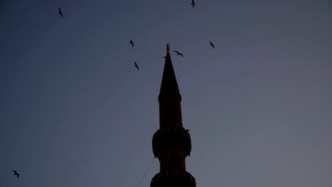 Seagulls-fly-against-the-backdrop-of-a-mosque-in-Istanbul