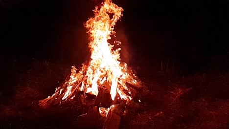 Verano-de-campamento-de-fuego-fuego-fuego-ardiente