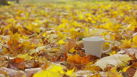 Eine-Tasse-Kaffee