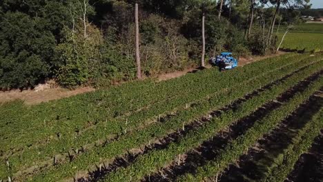 Máquina-cosecha-uva,-vista-aérea-del-país-del-vino-cosecha-de-la-uva-con-la-máquina-segador,-zángano-de-la-vista-del-paisaje-de-viñedos-de-Bordeaux,-Francia