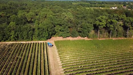 Máquina-cosecha-uva,-vista-aérea-del-país-del-vino-cosecha-de-la-uva-con-la-máquina-segador,-zángano-de-la-vista-del-paisaje-de-viñedos-de-Bordeaux,-Francia