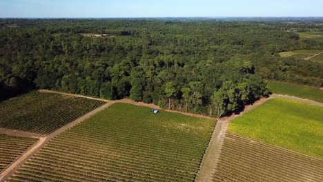 Máquina-cosecha-uva,-vista-aérea-del-país-del-vino-cosecha-de-la-uva-con-la-máquina-segador,-zángano-de-la-vista-del-paisaje-de-viñedos-de-Bordeaux,-Francia