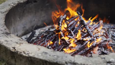 schönen-Lagerfeuer-im-Sommer-Wald