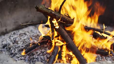 schönen-Lagerfeuer-im-Sommer-Wald