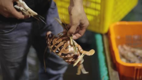 fisherman-marketin-Hong-Kong