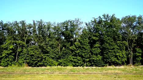 Paisaje-del-país.	Tiro-en-movimiento.