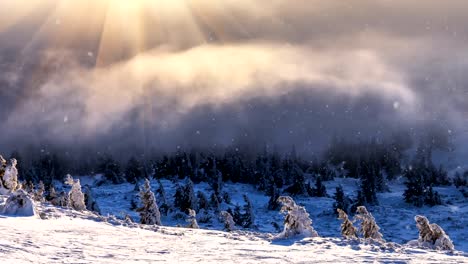 Nieve-que-cae-en-una-montaña-del-invierno-con-nieve-cubierto-árboles