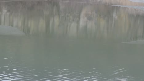 Reflejo-de-la-naturaleza-en-agua-con-hielo