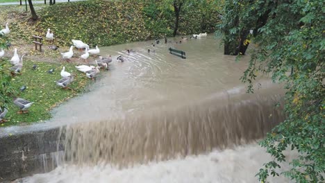 El-río-Serio-hinchado-después-de-fuertes-lluvias.-Provincia-de-Bérgamo,-Italia-norteña