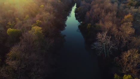 Vista-aérea-drone-sobre-los-árboles-del-río-y-el-otoño-del-bosque-durante-la-puesta-de-sol