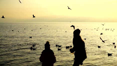 People-feed-seagulls-on-the-seashore.-Slow-motion.