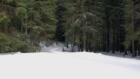 Straße-in-einem-verschneiten-Wald