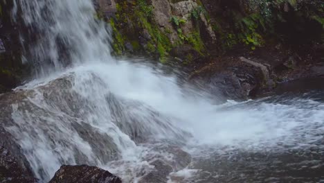 Waterfall-in-the-forest.-Waiau-Falls.