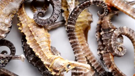 small-size-seahorses-as-Chinese-medicine-rotating